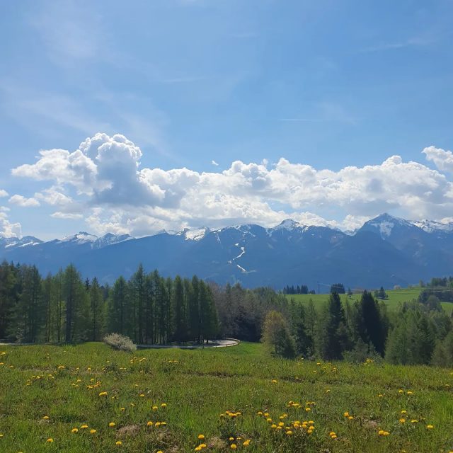 Cermis